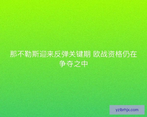 那不勒斯迎来反弹关键期 欧战资格仍在争夺之中